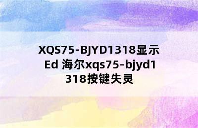 XQS75-BJYD1318显示Ed 海尔xqs75-bjyd1318按键失灵